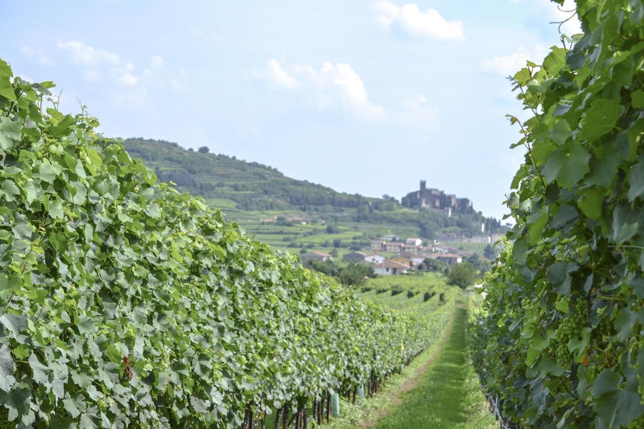 B&B Antique Maison Soave  Eksteriør billede